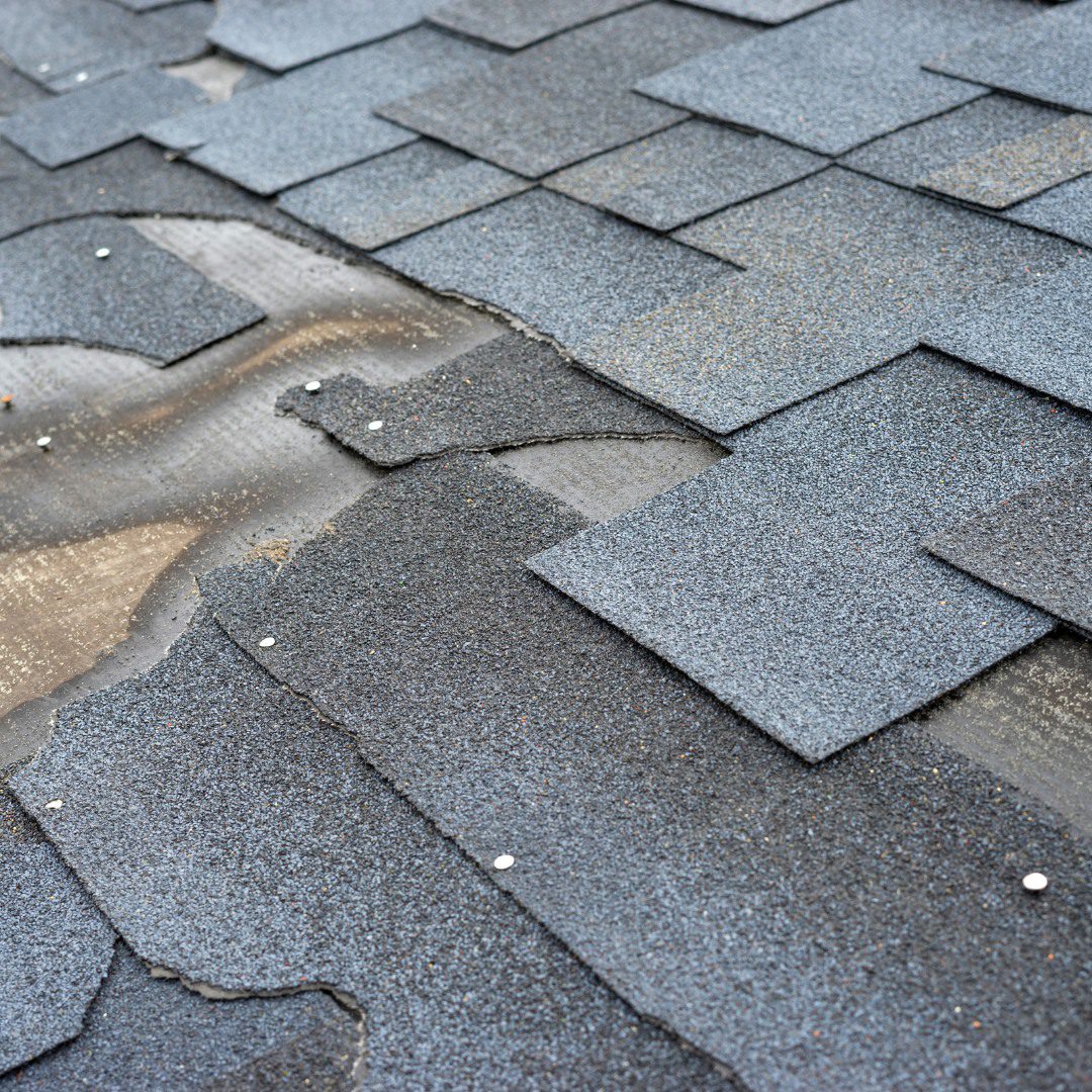 Close-up of hail-damaged asphalt shingles with granule loss on a Bucks County roof inspected by KPI Jr Exteriors