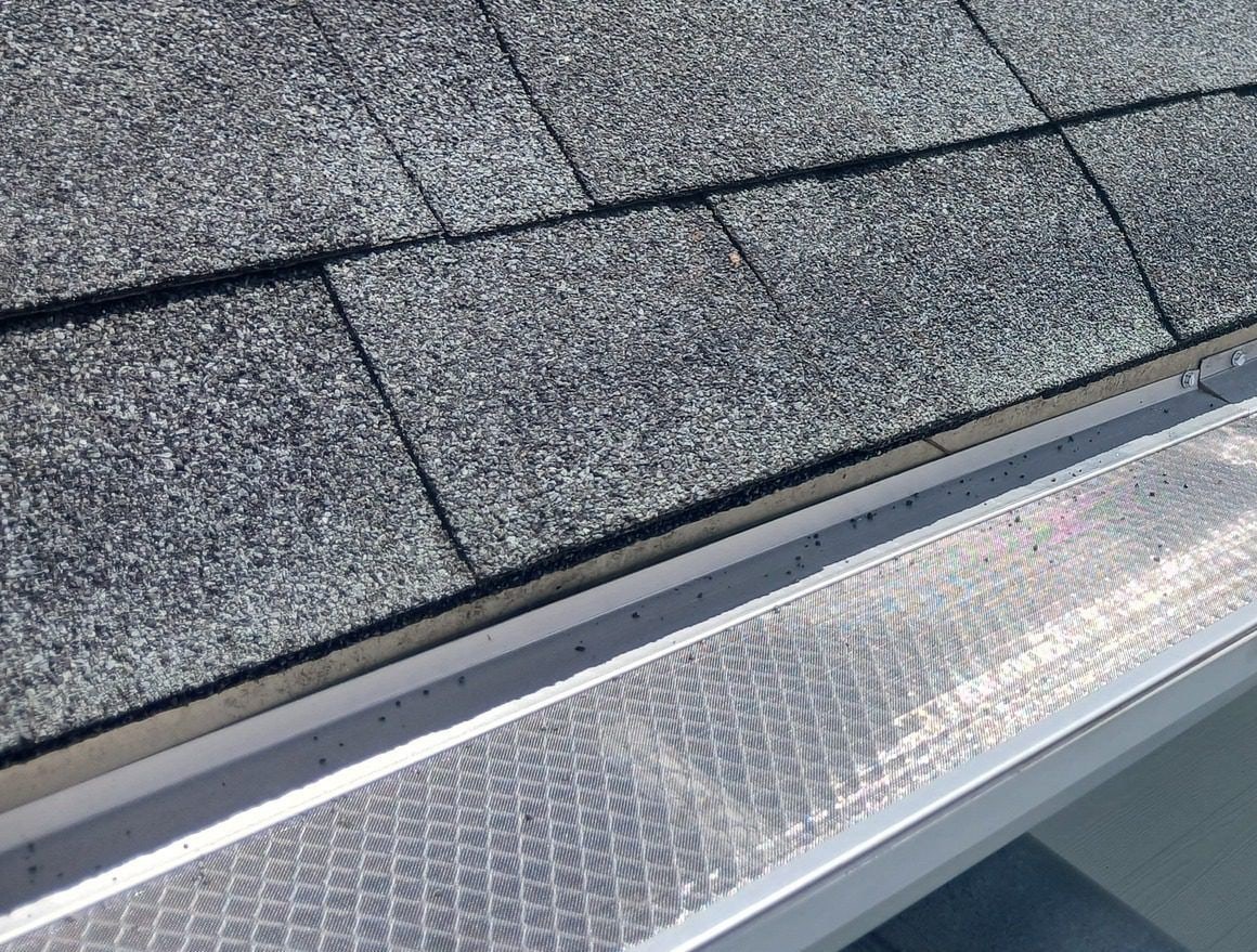 Mesh gutter guard on a white gutter below asphalt shingles